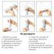 Мастурбатор Tenga Flex Silky White с изменяемой интенсивностью, можно скручивать SO1645 фото 6