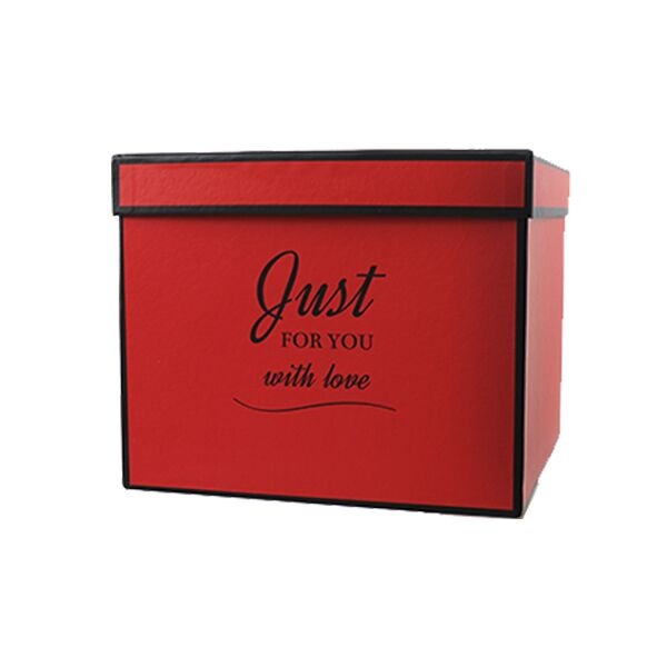 Подарункова коробка Just for you червона, L - 25х22х18 см SO5473