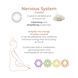 Вагінальні кульки Adrien Lastic Harmony Stones SX1272 16