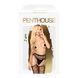 Колготки з імітацією панчох на підв'язках Penthouse - Special Extra Black S/L SO4383 3