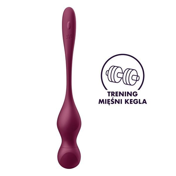 Вагинальные шарики с вибрацией Satisfyer Love Birds Vary Connect App SX1216 фото