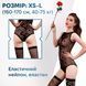 Комплект: боди и чулки Moonlight Model 15 XS-L Black, с цветочным вертикальным рисунком SO6347 фото 2