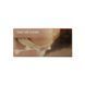 Двосторонній мастурбатор Men Powerup Eroticism: вагіна та ротик SO6231 9