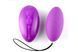 Віброяйце Alive Magic Egg 2.0 Purple із пультом ДК AL40523