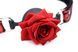 Кляп Master Series Eye-Catching Ball Gag With Rose SO8794 3