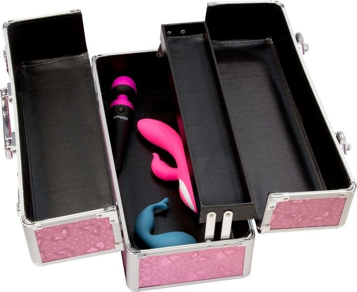 Кейс для зберігання секс-іграшок BMS Factory - Large Lokable Vibrator Case Pink SO8900