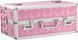 Кейс для зберігання секс-іграшок BMS Factory - Large Lokable Vibrator Case Pink SO8900 2