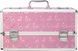 Кейс для зберігання секс-іграшок BMS Factory - Large Lokable Vibrator Case Pink SO8900 3