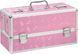 Кейс для зберігання секс-іграшок BMS Factory - Large Lokable Vibrator Case Pink SO8900 1
