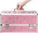 Кейс для зберігання секс-іграшок BMS Factory - Large Lokable Vibrator Case Pink SO8900 4