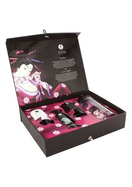 Подарунковий набір Shunga NAUGHTY Cosmetic Kit: змазка та стимулювальні засоби для нього та для неї SO6896