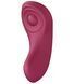 Набор Satisfyer Partner Box 1 (вибратор для пар Double Joy + вибратор в трусики Sexy Secret) SO7143 фото 7
