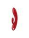 Смарт вібратор кролик із подвійним відростком Satisfyer Double Flex Red SO6092 2