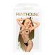 Бодістокінг у велику сітку Penthouse - Body Search Black S/L SO4408 3
